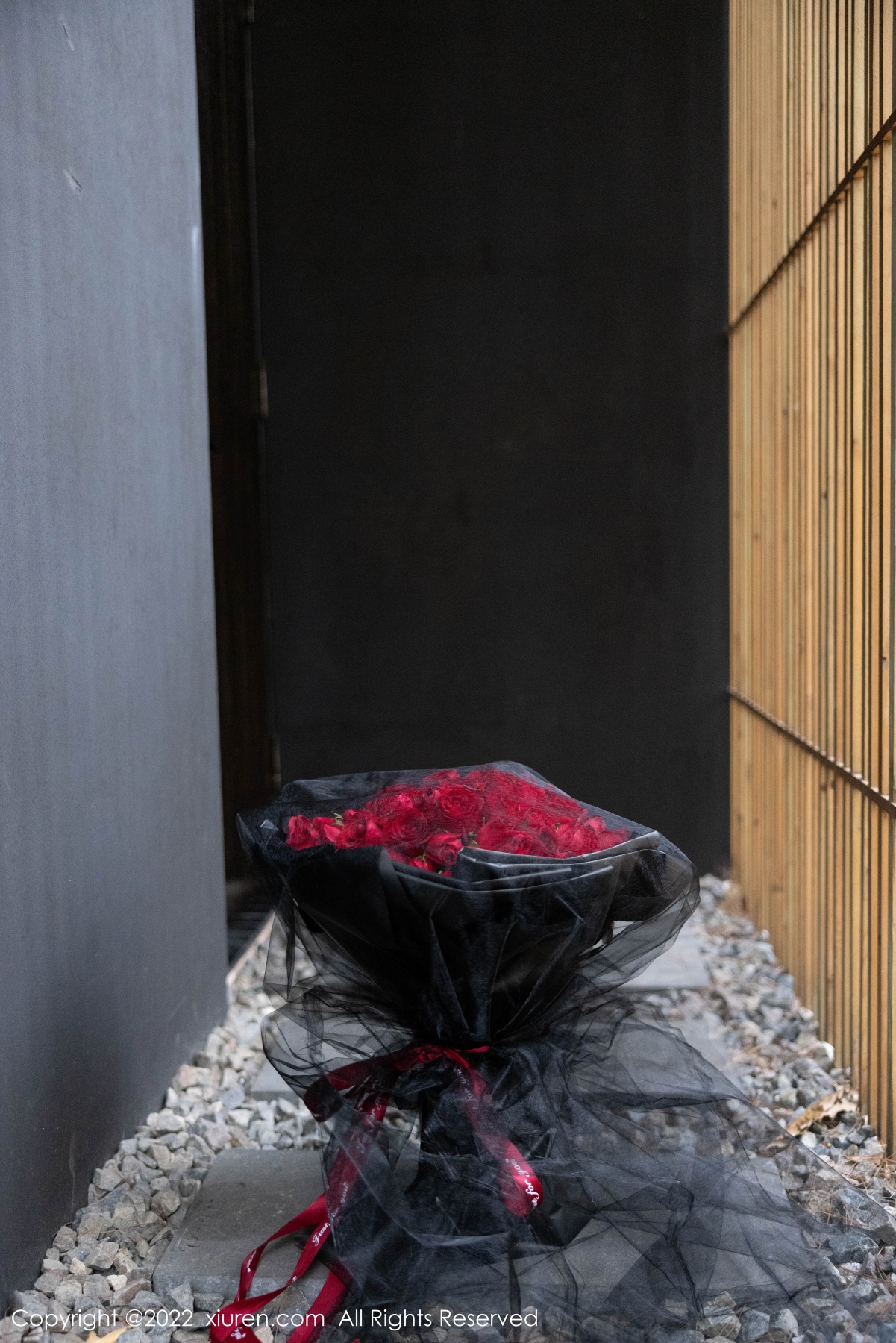 秀人 [XIUREN] 2022.01.21 绮里嘉ula