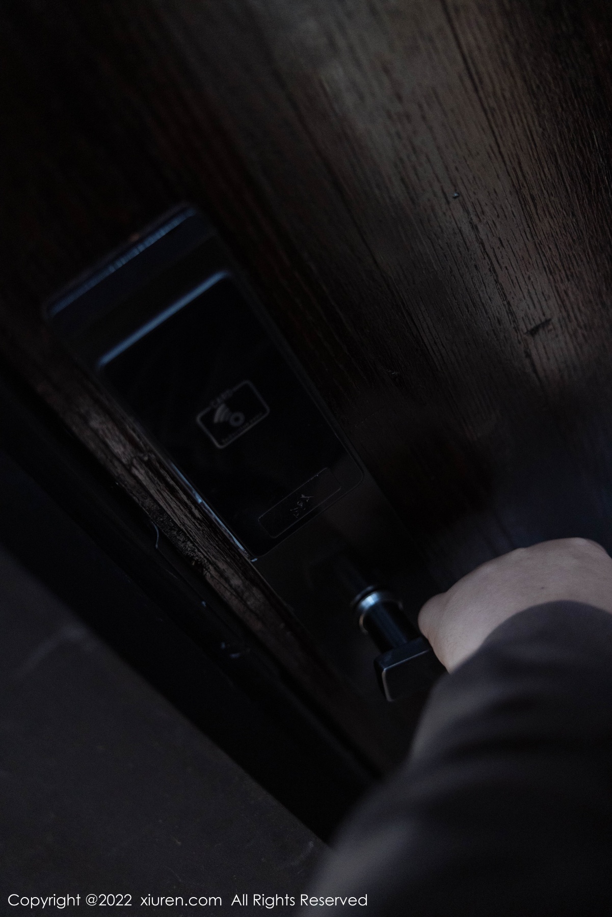 秀人 [XIUREN] 2022.01.21 绮里嘉ula