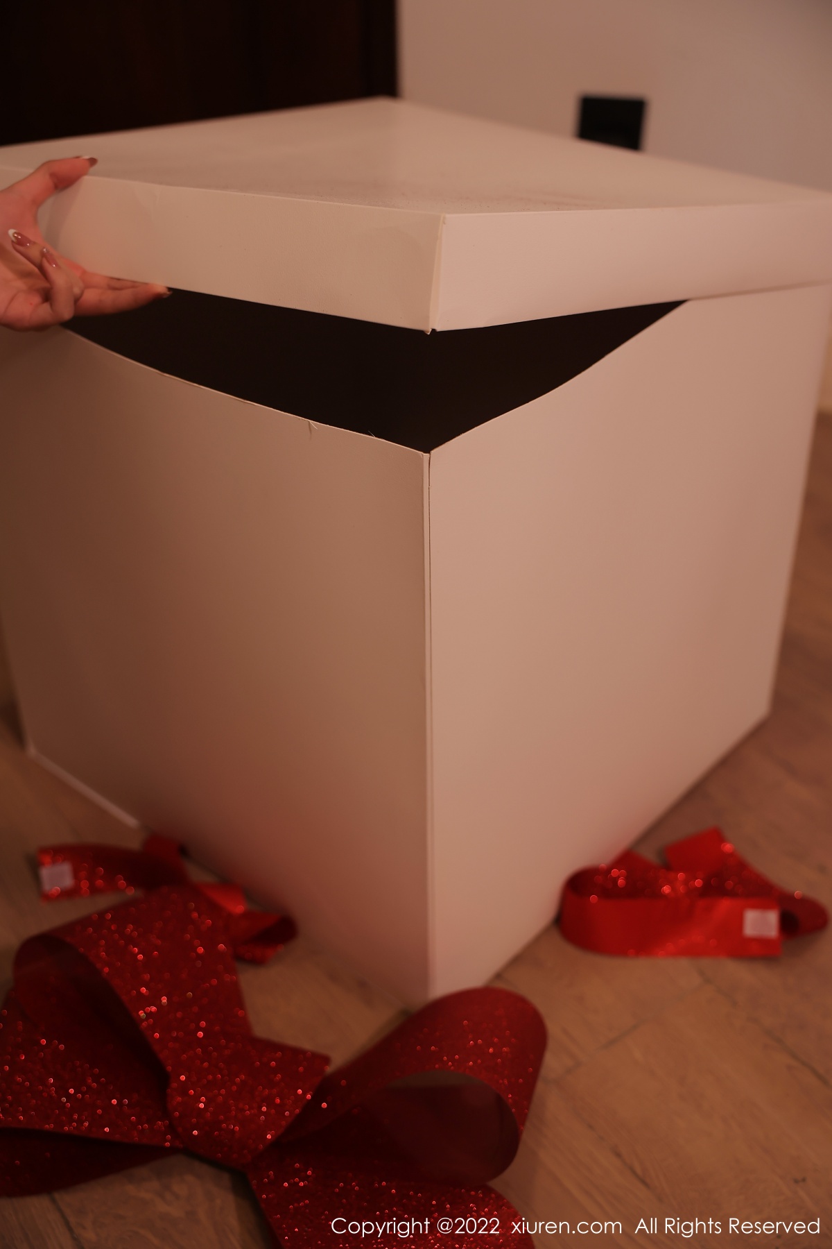 秀人 [XIUREN] 2022.12.22 tina_甜仔