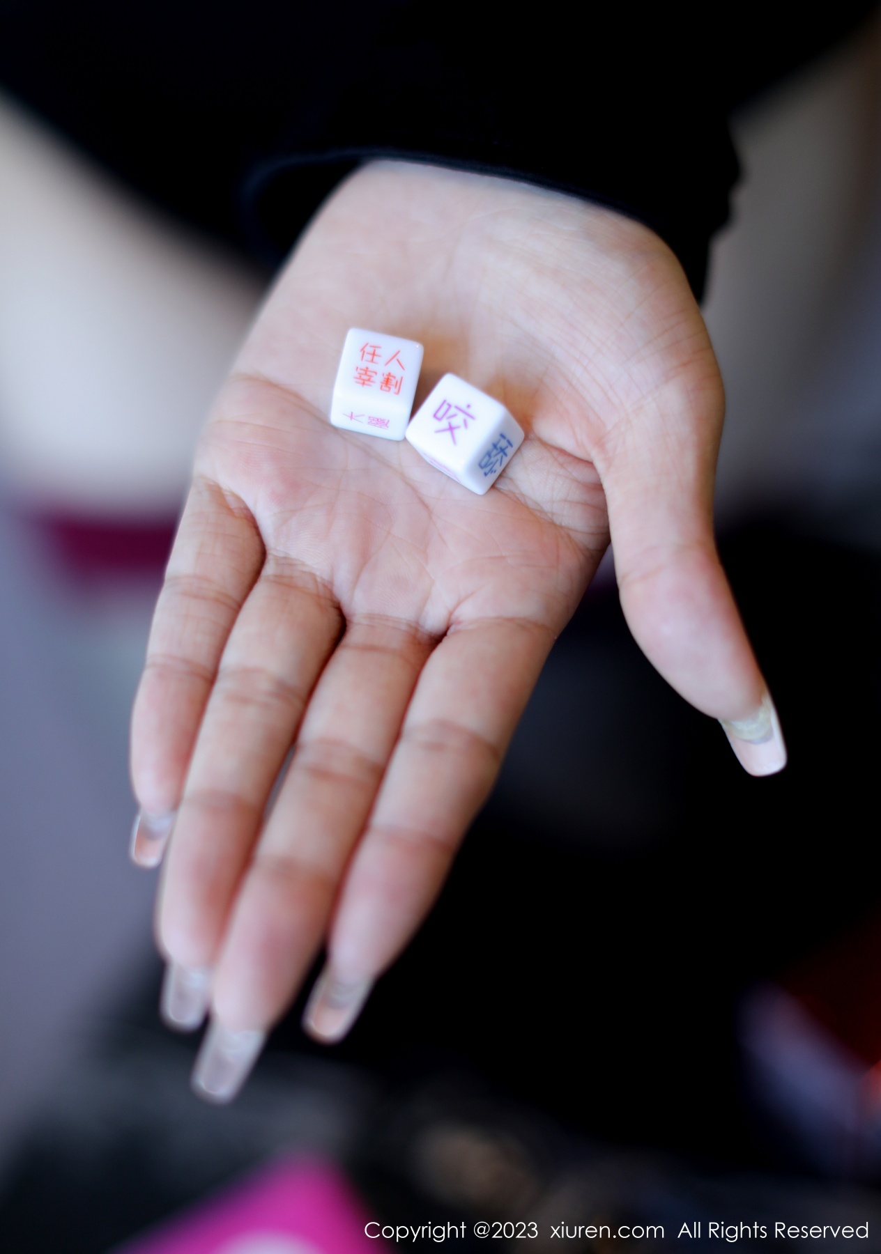 秀人 [XIUREN] 2023.03.08 司柠