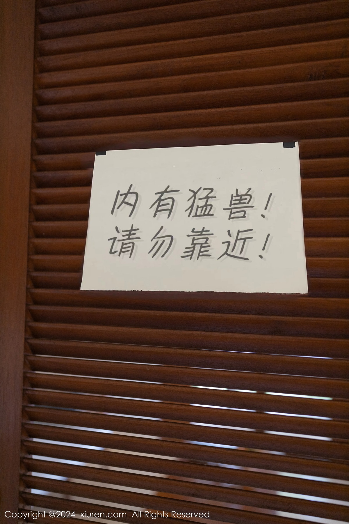 秀人 [XIUREN] 2024.01.26 幼幼