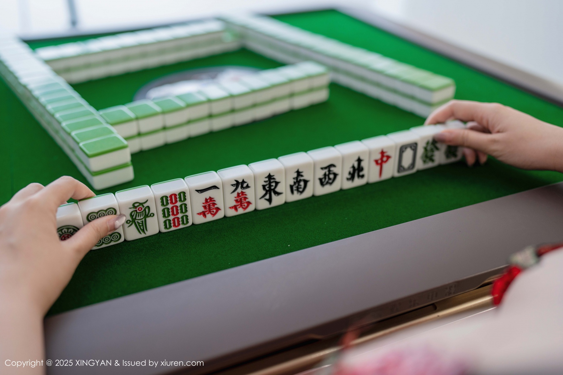 星颜社 [XINGYAN] 2025.02.13 VOL.308 袁圆