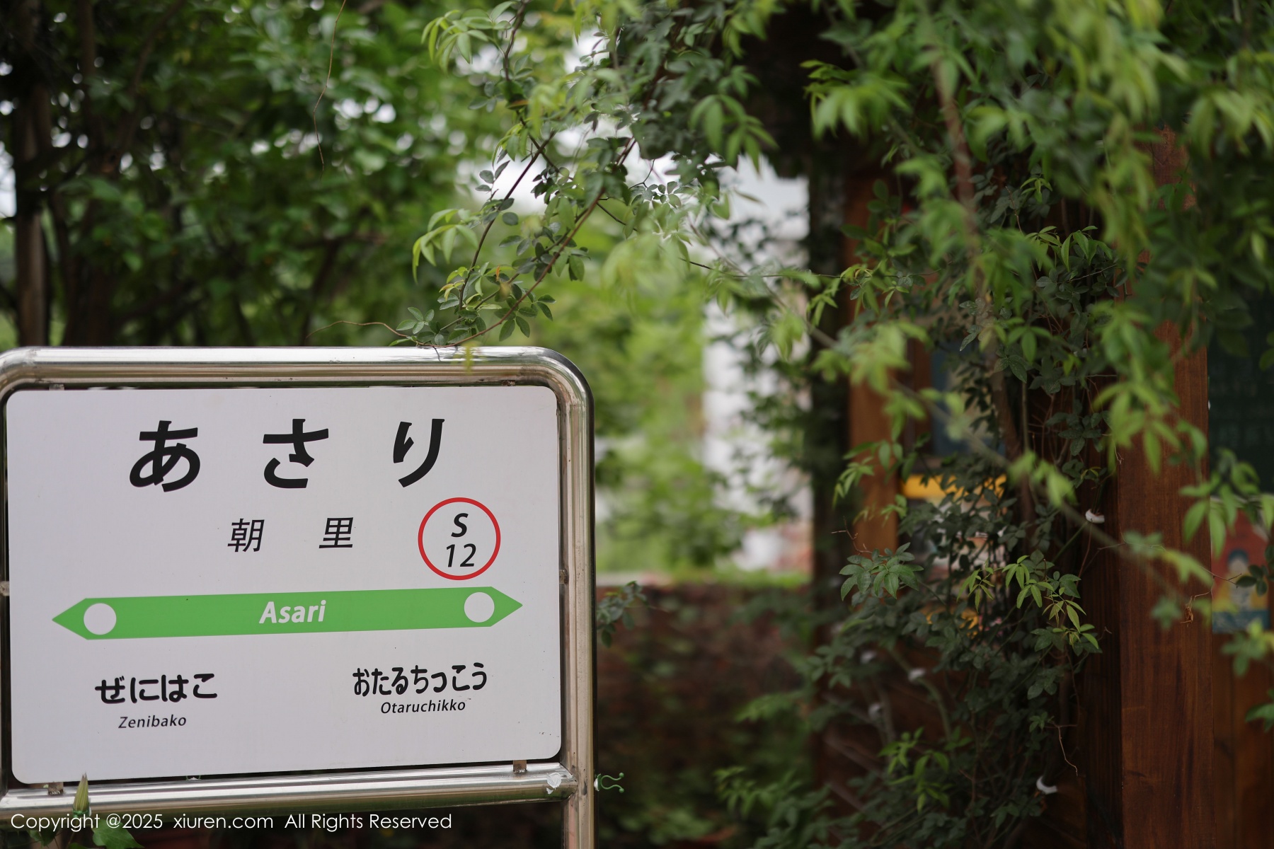 秀人 [XIUREN] 2025.04.29 茂木希子