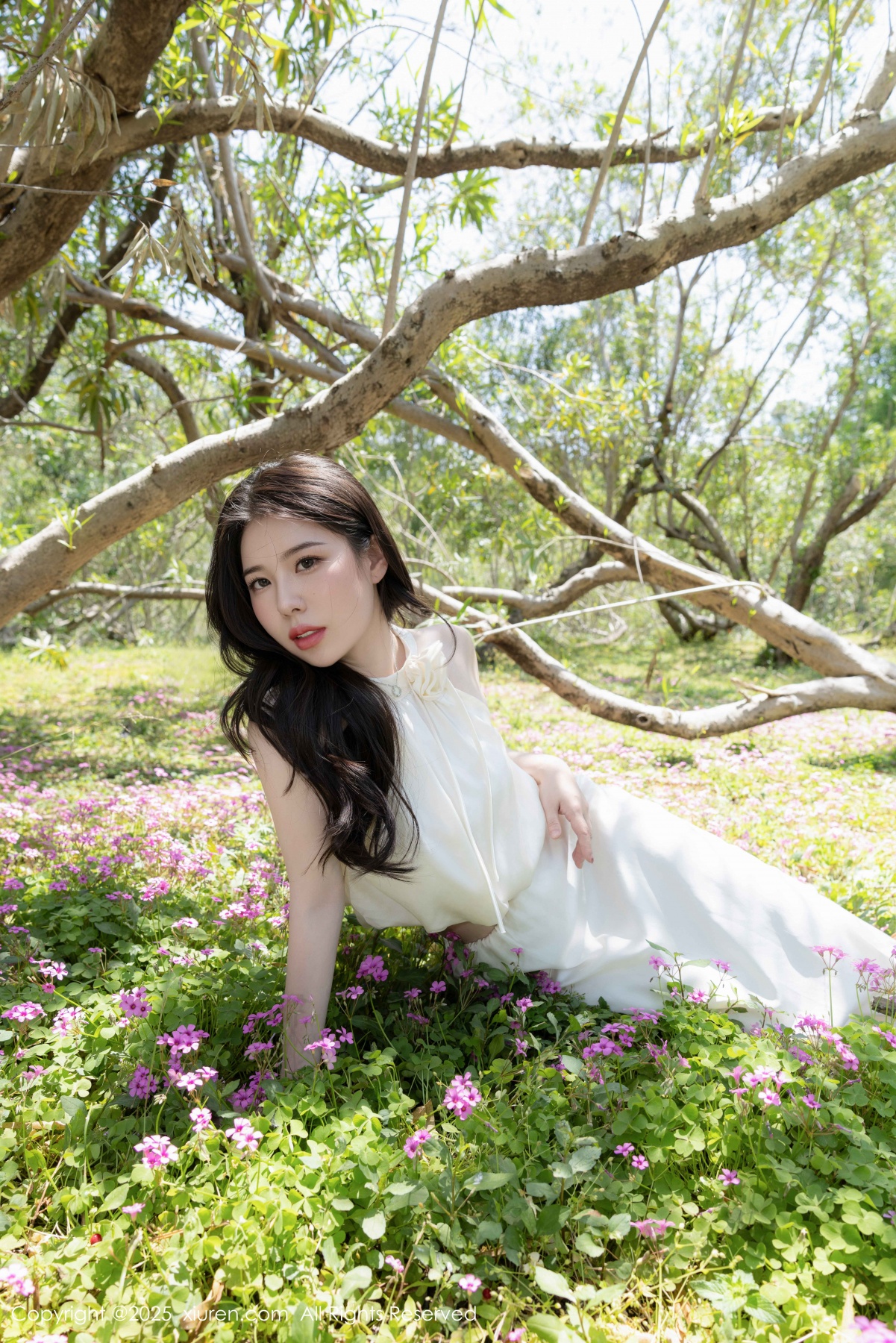 秀人 白茹雪abby [XIUREN] 2025.06.30 模特合集