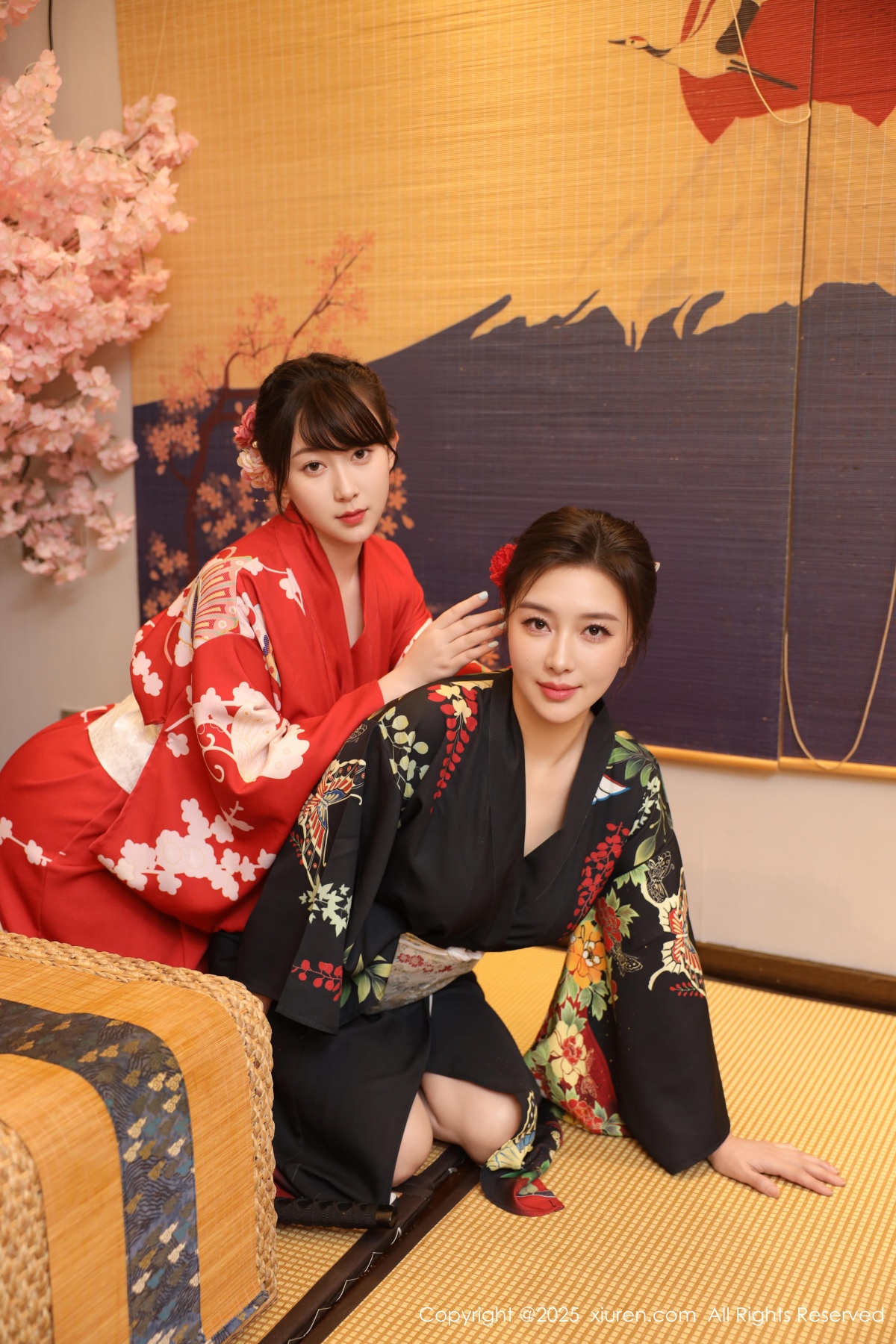 秀人 [XIUREN] 2025.08.07 苏一诺