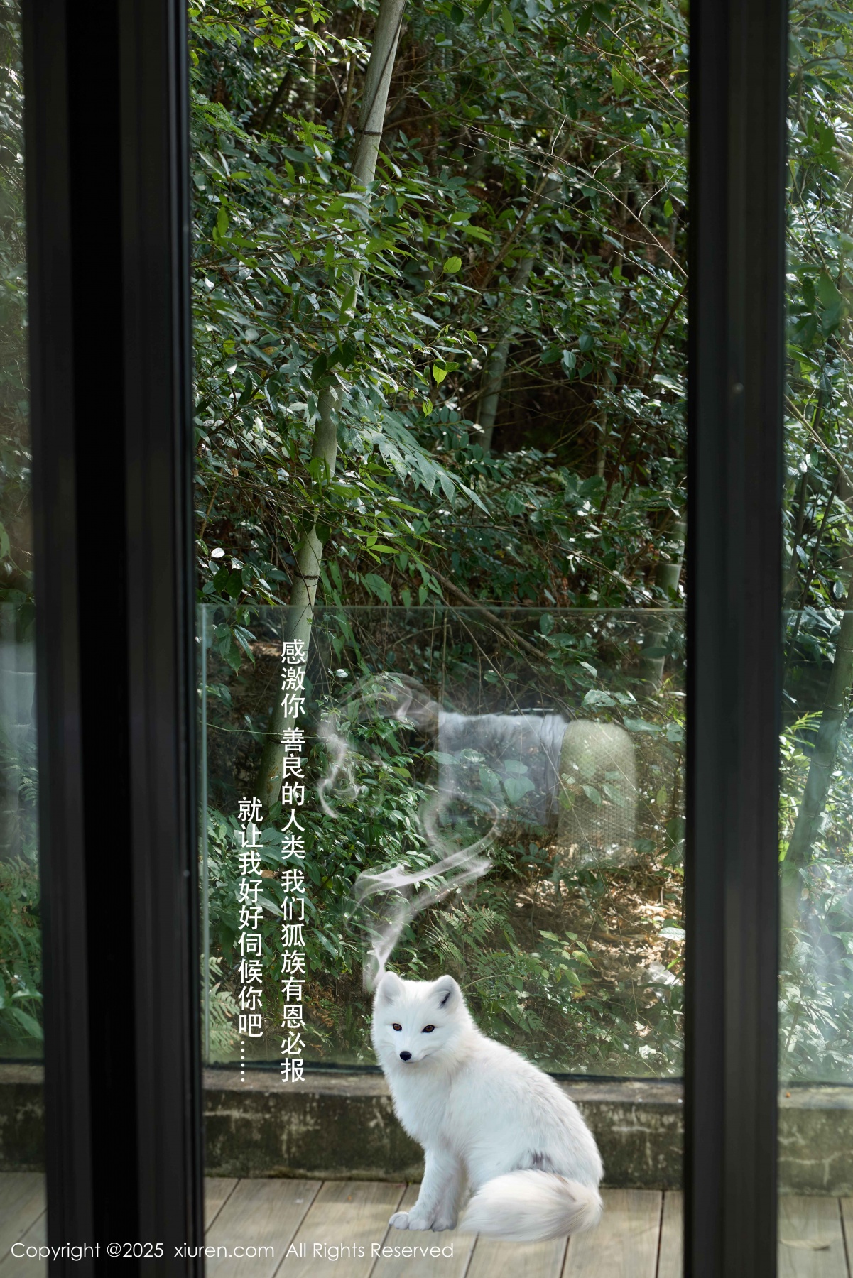 秀人 [XIUREN] 2025.12.04 尹甜甜