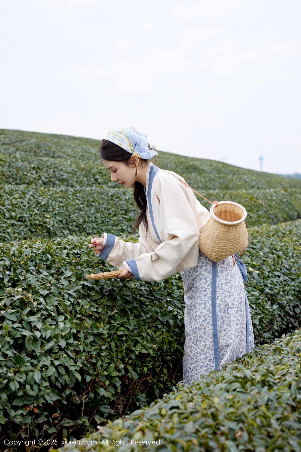 秀人 [XIUREN] 2025.12.11 尹甜甜